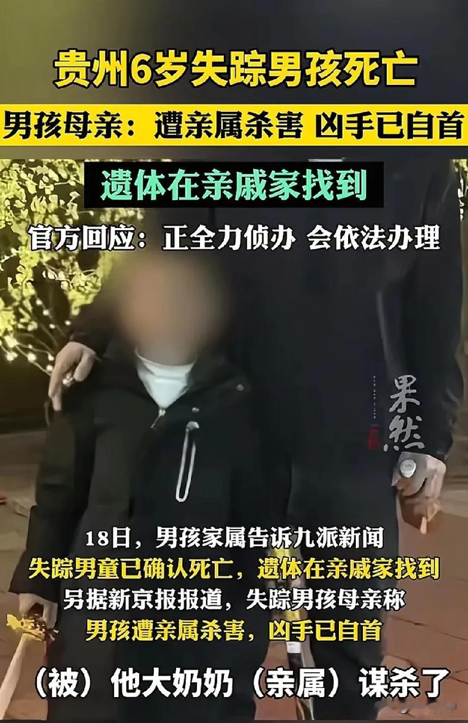 贵州 6 岁男孩遇害，作案的会不会不是大奶奶，而是大奶奶家其他人？有消息说大奶奶