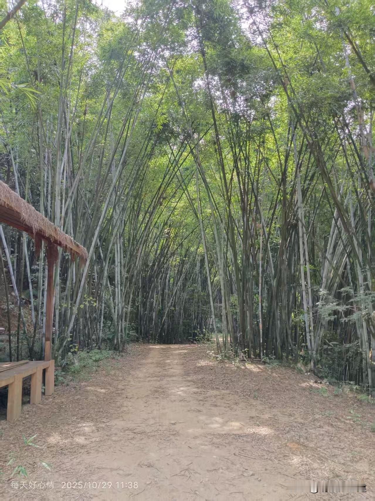 还未踏进那扇木扉，便先被周遭的绿意拥了个满怀。这“三顾茅庐”文创园，果真如其名，