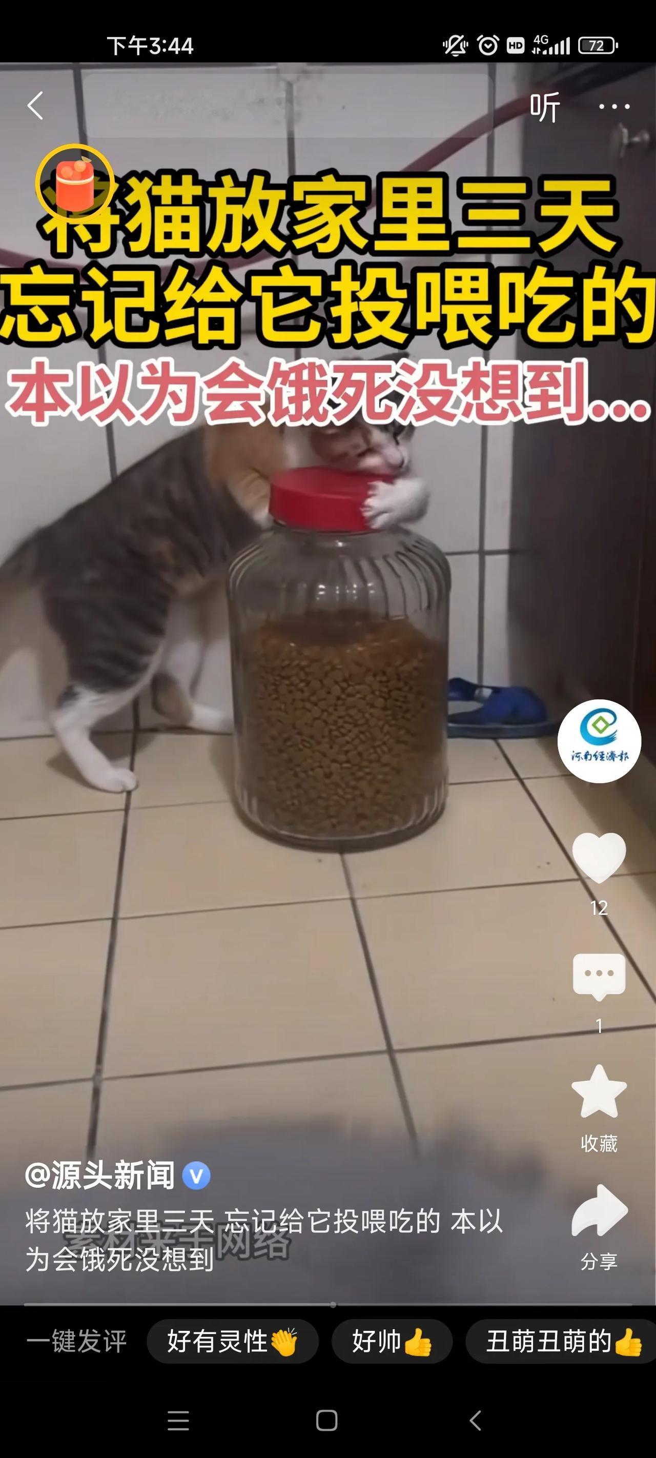 这种新闻拜托少一些吧，重点不是猫聪明不聪明，而是给猫吃猫粮的问题！
如果你真的爱