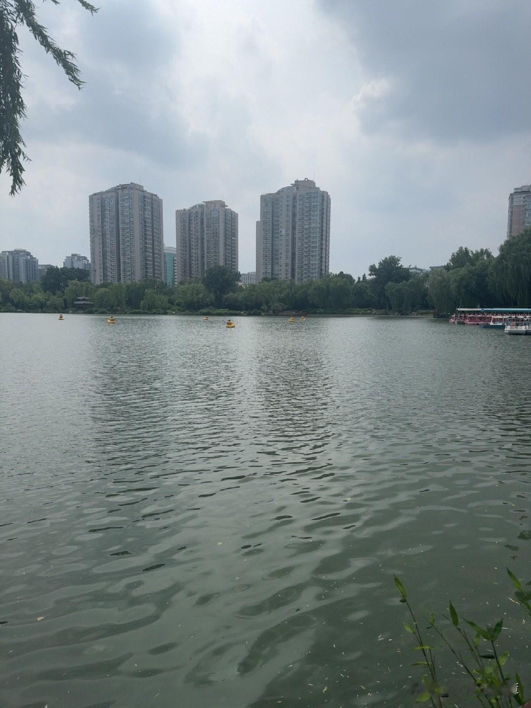 说个脑筋急转弯。
请问：上厕所没纸怎么办？
找皇上要纸，因为皇上有纸（旨）。
有