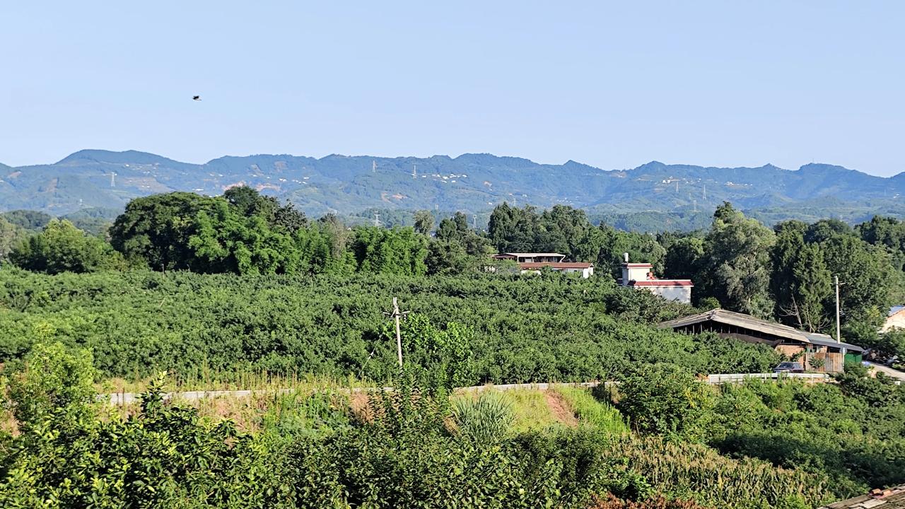 夏日生活打卡季家乡的风景自然风景图片分享
