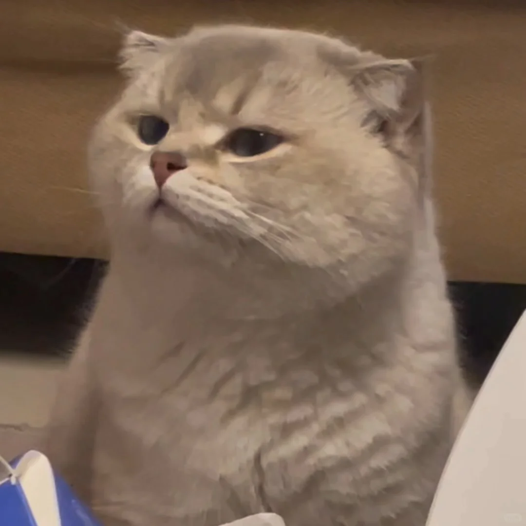 谁放屁了…（嗅嗅