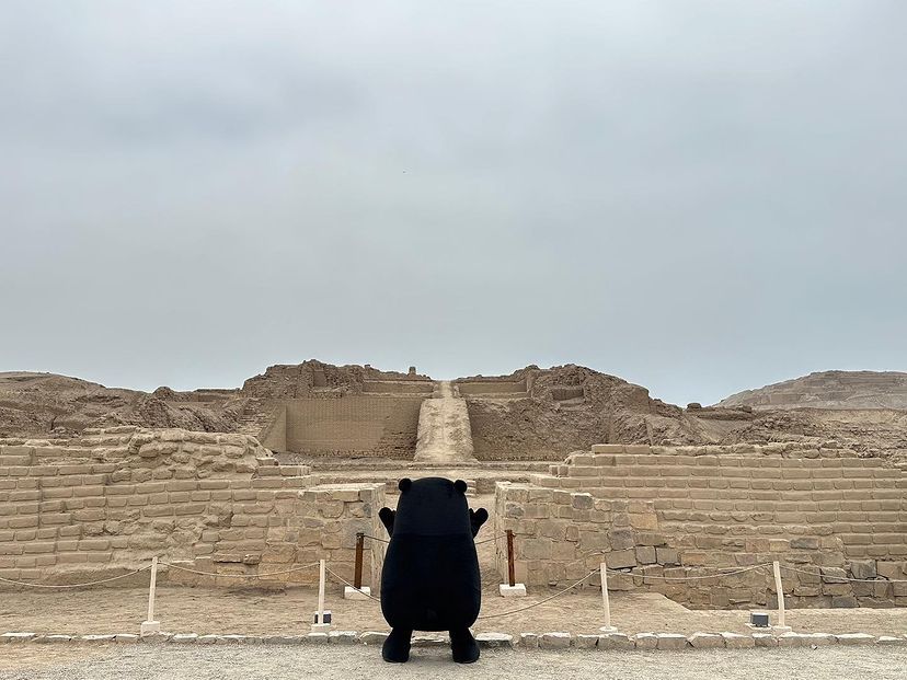 部长又出差了（公费旅游… ​​​