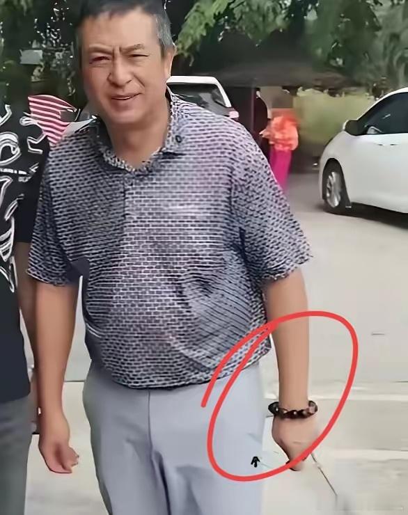 有没有首饰文玩大神？帮忙看一下张嘉译手上戴的这个手串是什么材质的？能认出来的绝对
