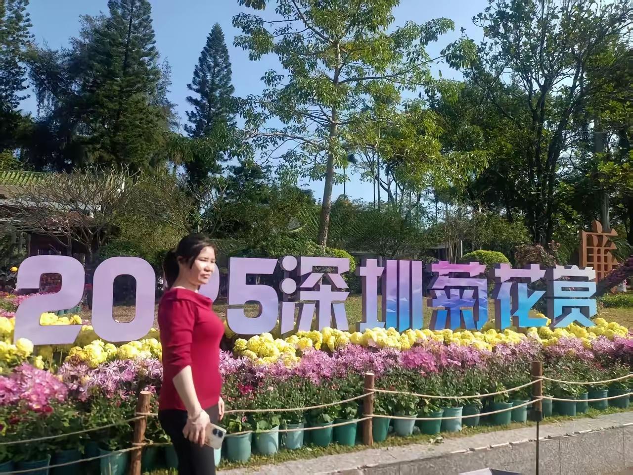 马上元旦了，深圳公园留影。深圳公园赏花 深圳游留影