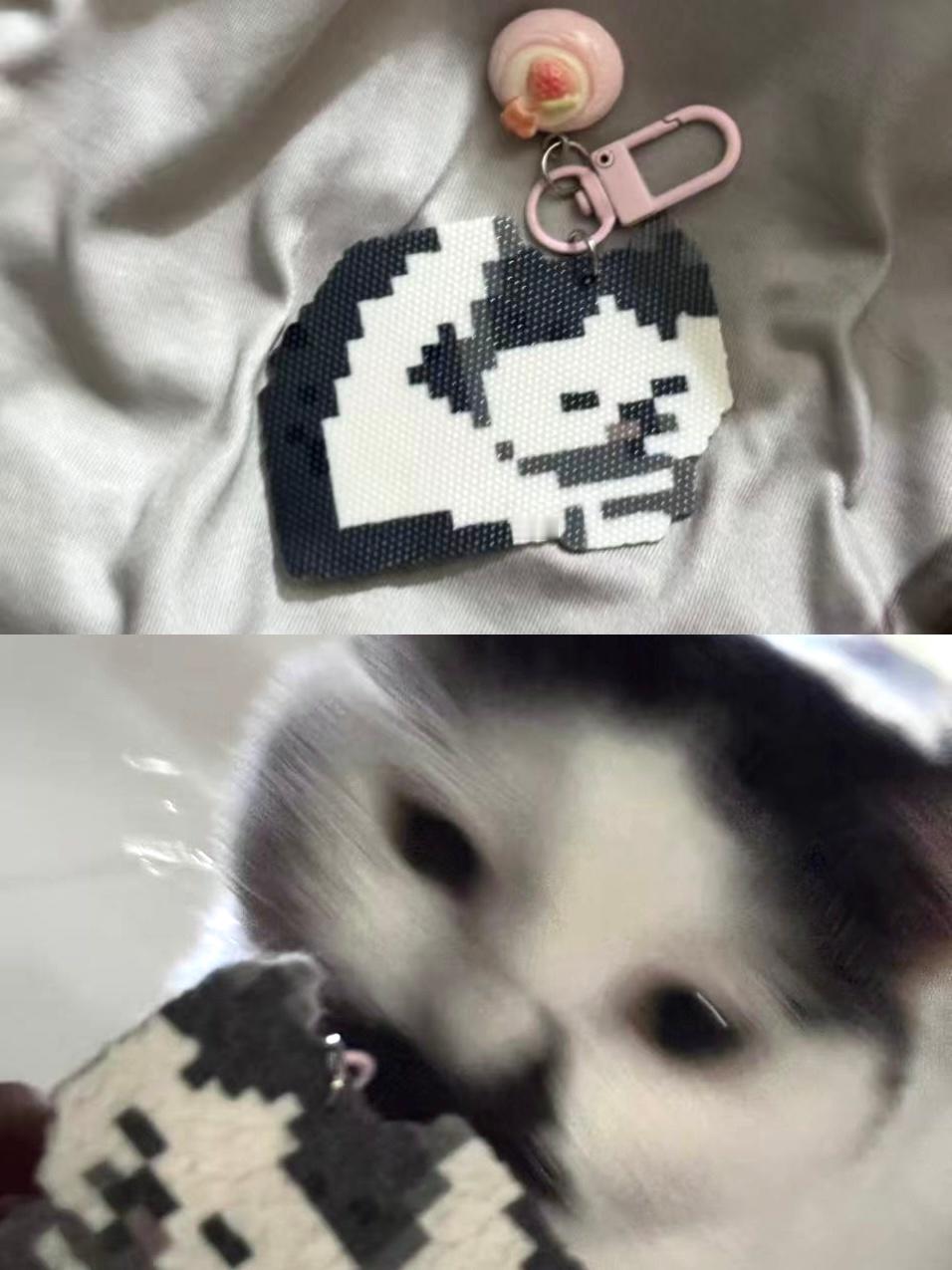 很可爱吧哈哈 