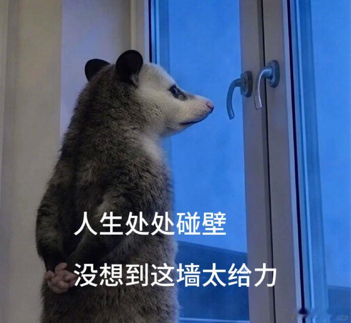 余鸣表示：运气这东西，全靠运气！  