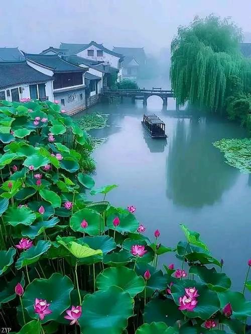 江南，作为中国文化的重要象征，以其秀丽的水乡风光和深厚的文化底蕴吸引了无数游客。