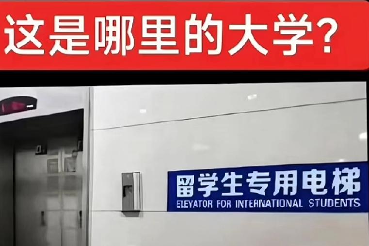 这是哪所大学，竟然有这样的规定？给留学生最优惠待遇都这么赤裸裸了吗？什么“留学生