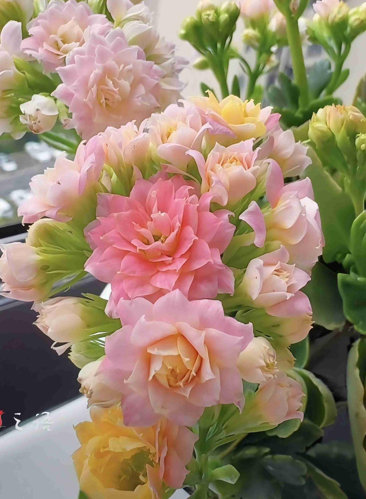 我的今日状态：😁轻松愉快
我这里的天气：☀️早上晴天，现在多云，一场绵绵细雨滋