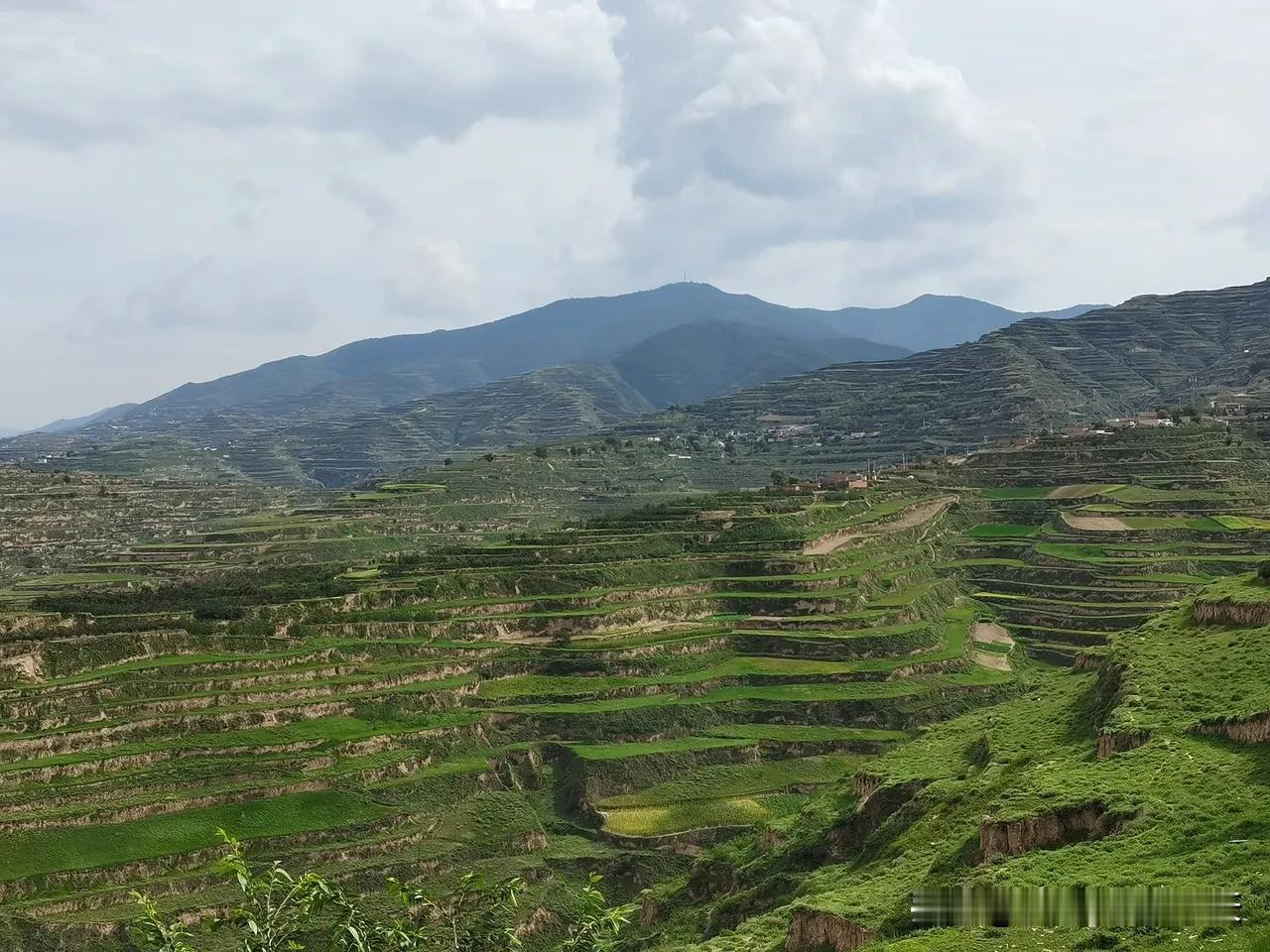 给兰州的朋友们分享一张地图，看看家乡的大山，大山的海拨，各县区哪坐大山最高呢？