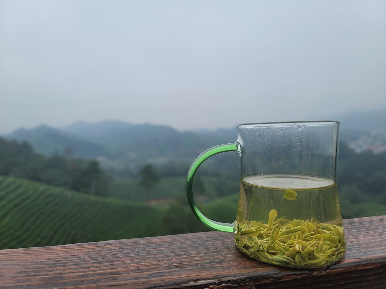 十一前趁着周末带着孩子去茶山游玩，天气刚好，云雾蒙蒙但又没有下雨，因为不是假期，