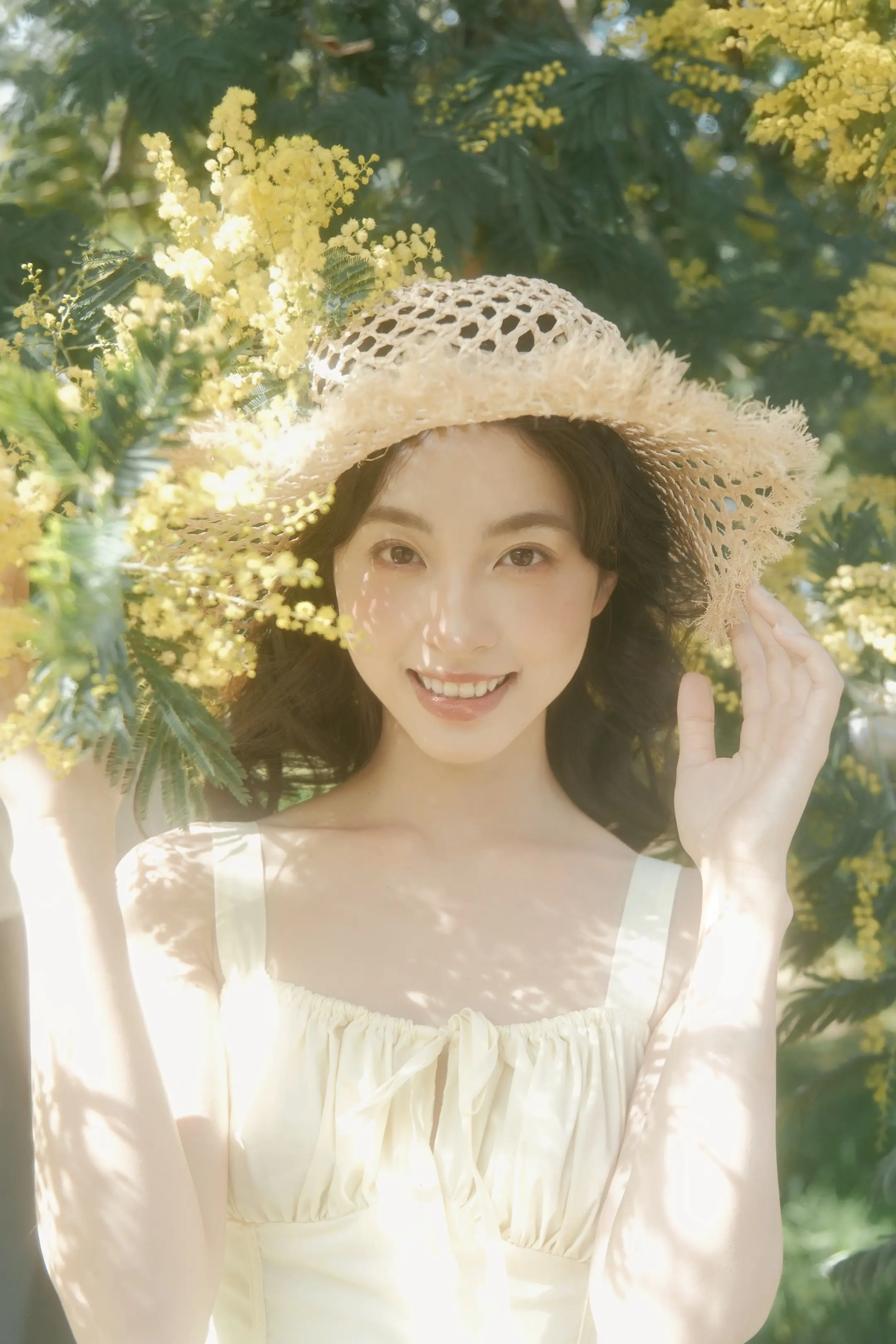 光有光的来意。