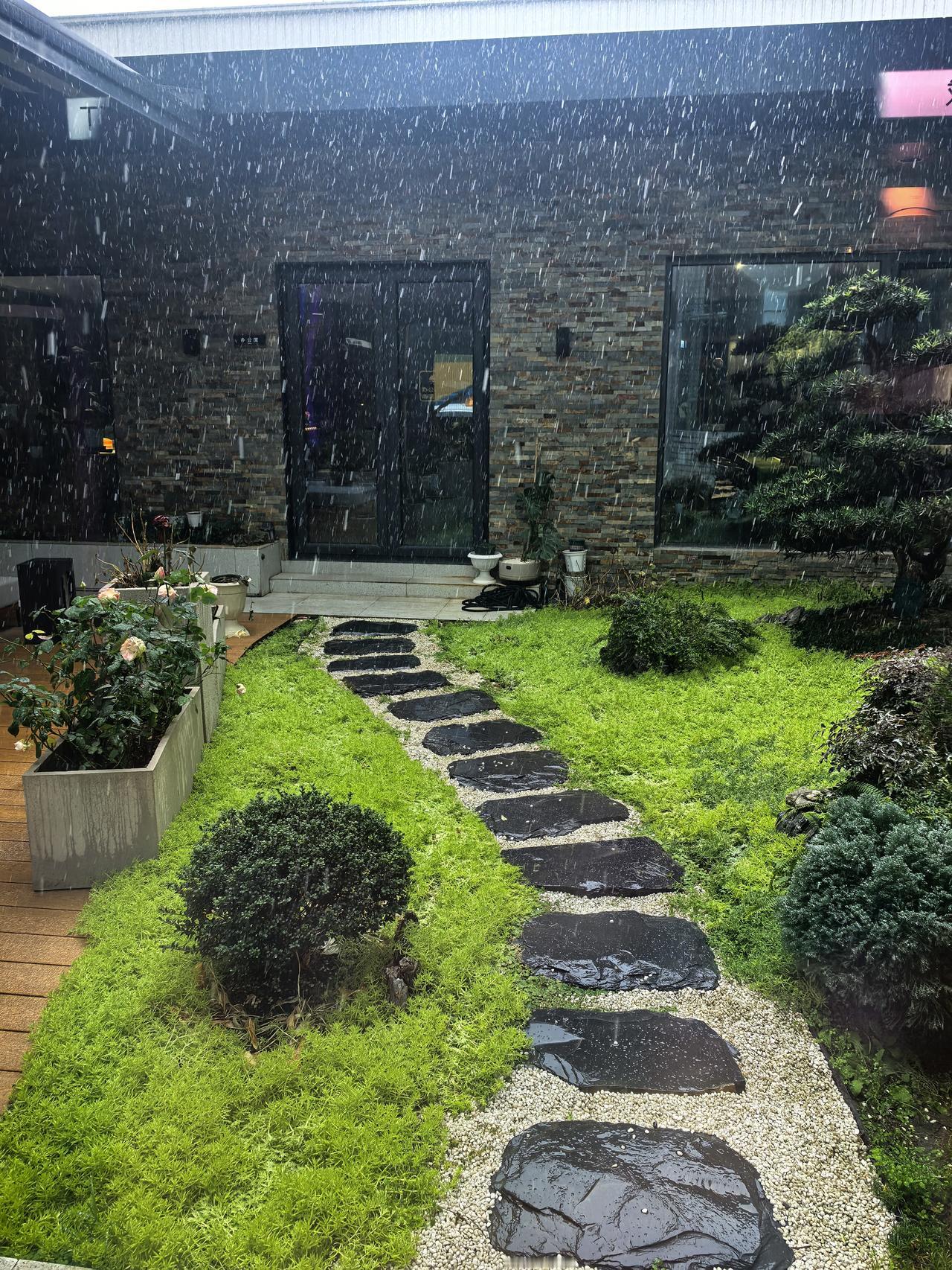 晒图笔记大赛万万没想到，在西安出差，偶遇了2025年的第一场雪！