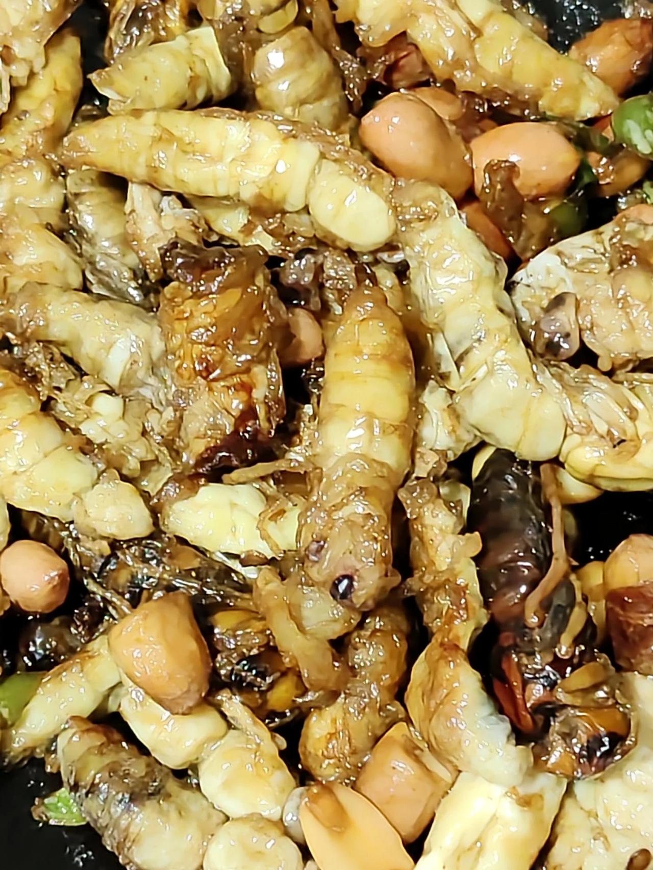 野生的蜂蛹，吃过的举手#蜂蛹是一种美食# #高蛋白的蜂蛹# #野生七里蜂蛹# #