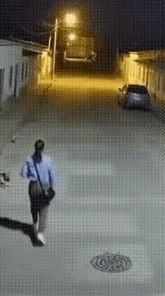 有的动物能看到人眼看不见的……