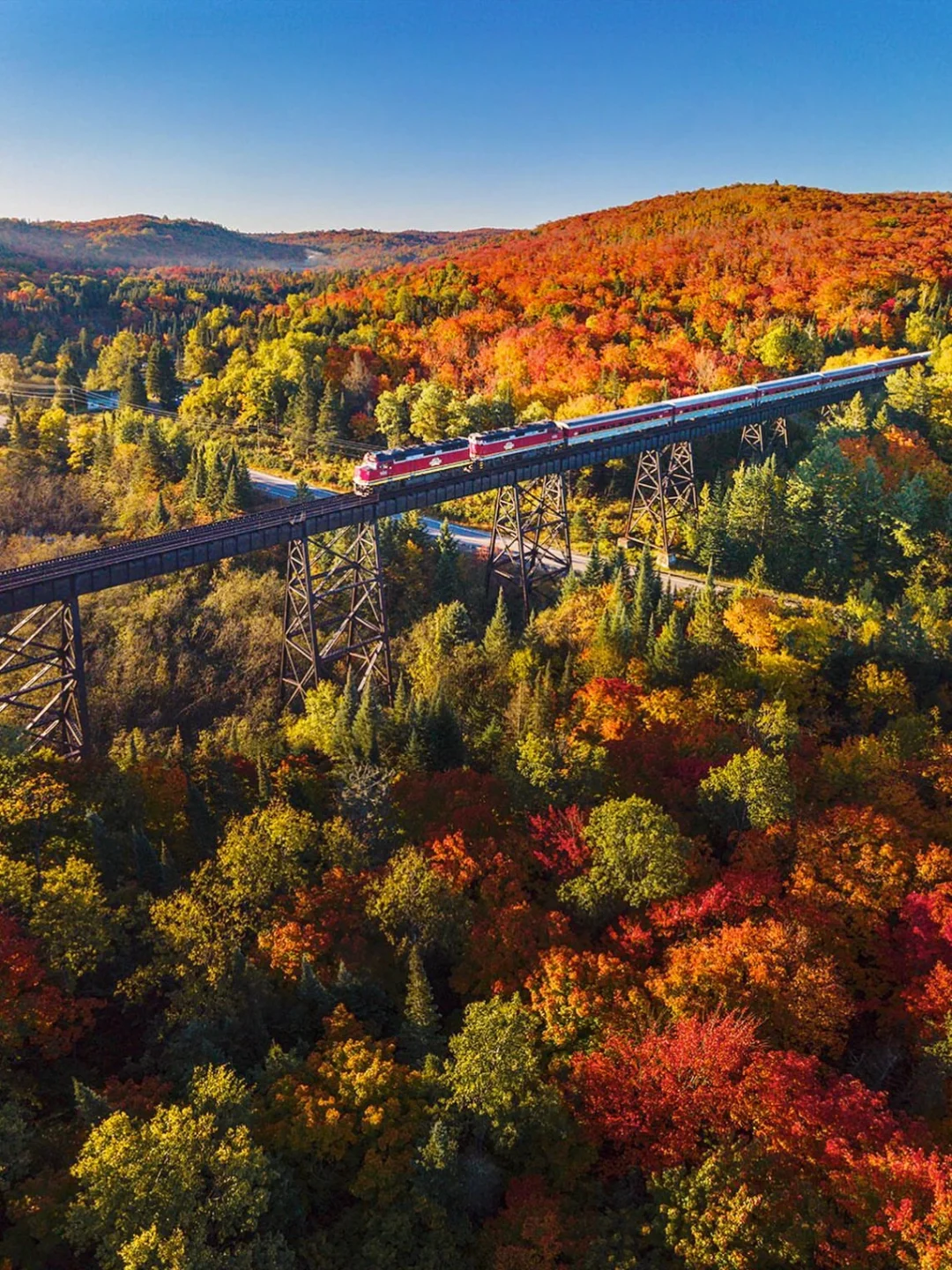 提前锁定秋天 🍁加拿大赏枫之旅一定要安排！