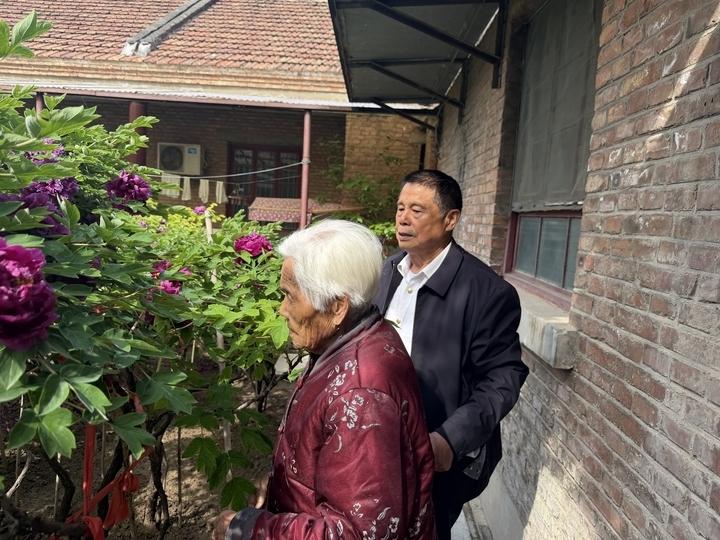 人间四月，牡丹倾城。在菏泽市鲁西新区丹阳街道赵堂村的一处居民小院里，100多棵牡