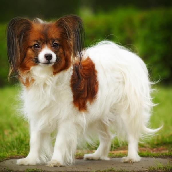 宁波女子喂流浪猫“遭殃”：猫窝被扔，网友炸锅，谁该“买单”？

大家好，今天给你