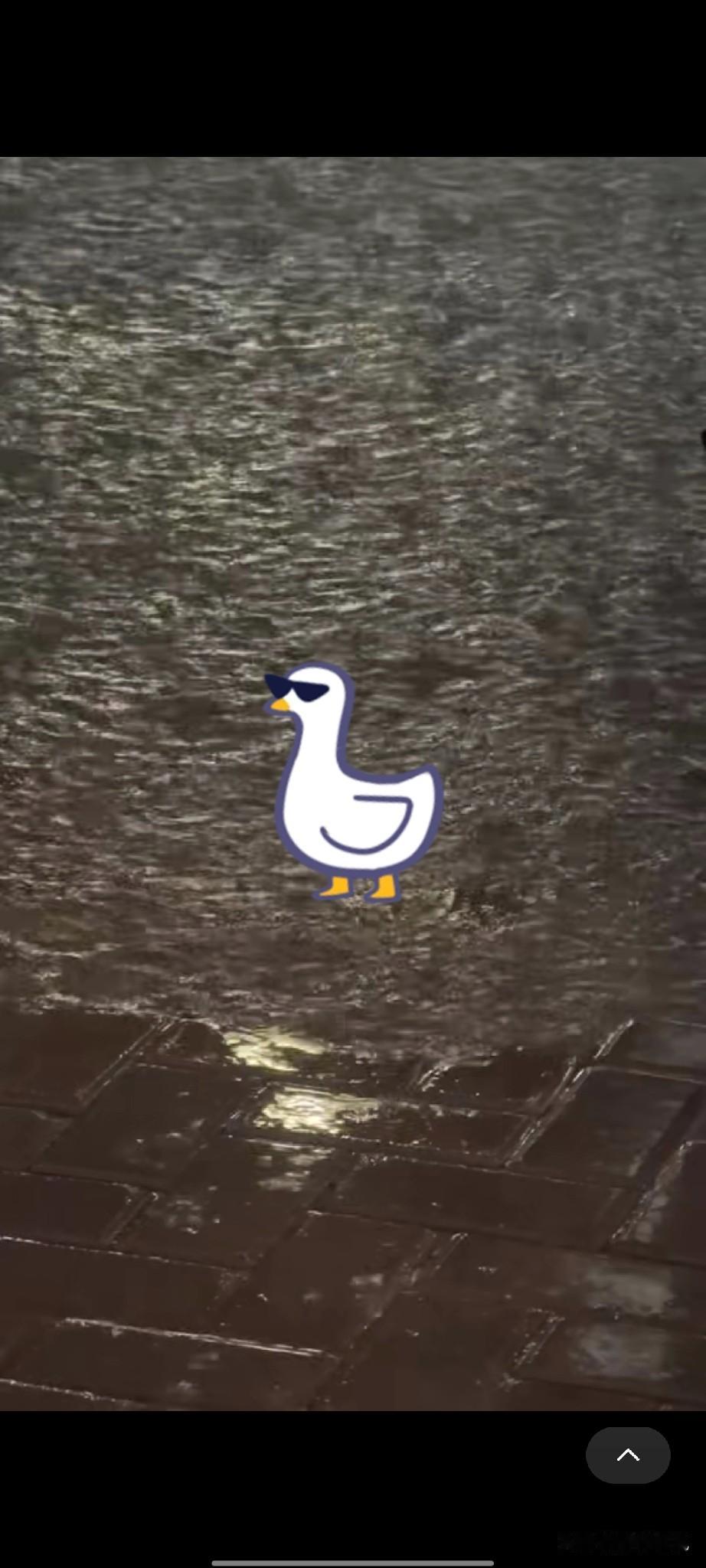 春日生活打卡季
今天下大雨，翻鞋柜找出一双压箱底的旧雨靴，好久没穿了，打算穿着去