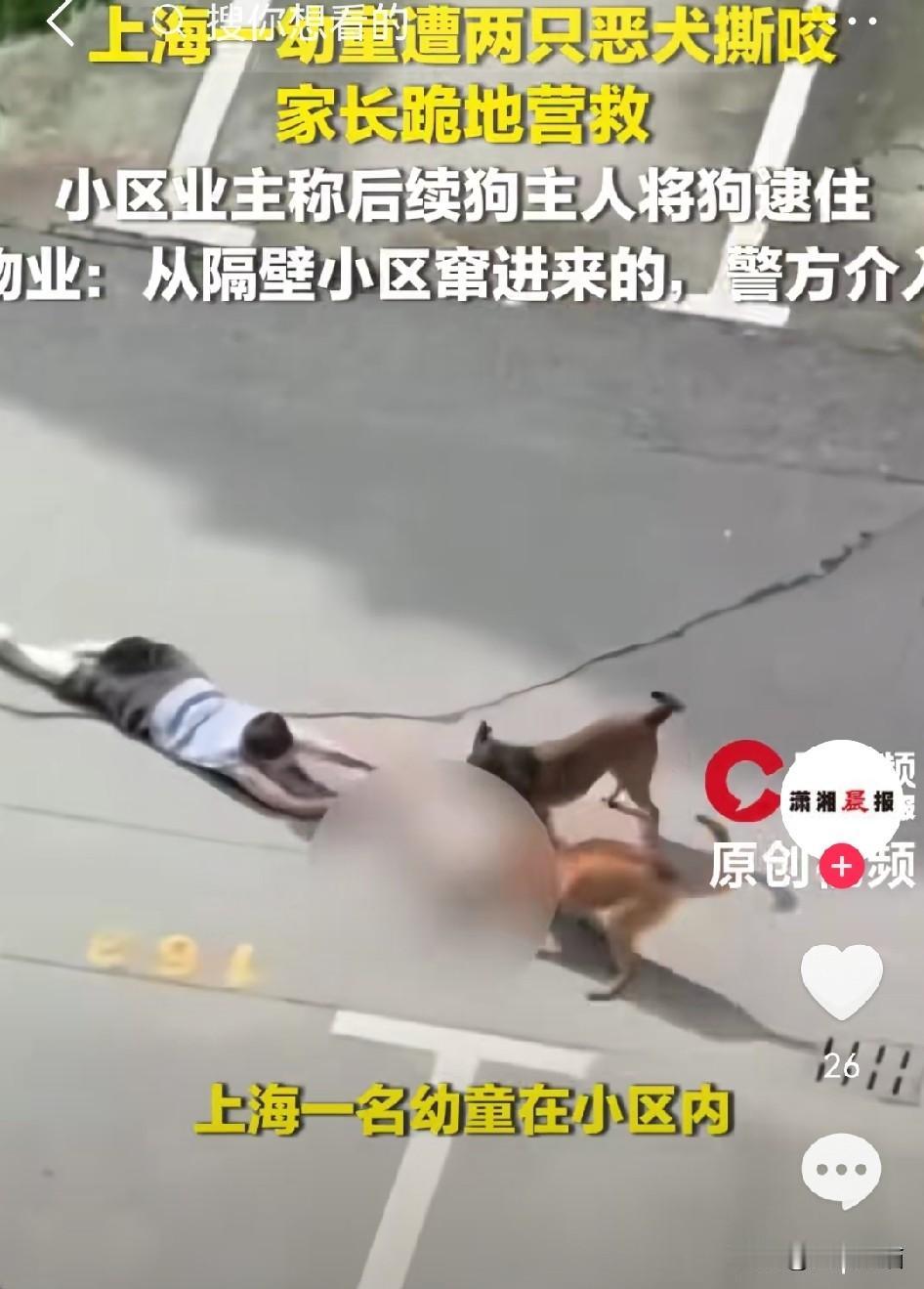 管不住狗？说白了就在于管不住人！
上海青浦一小区内，两只宠物狗在地上撕咬小孩，家