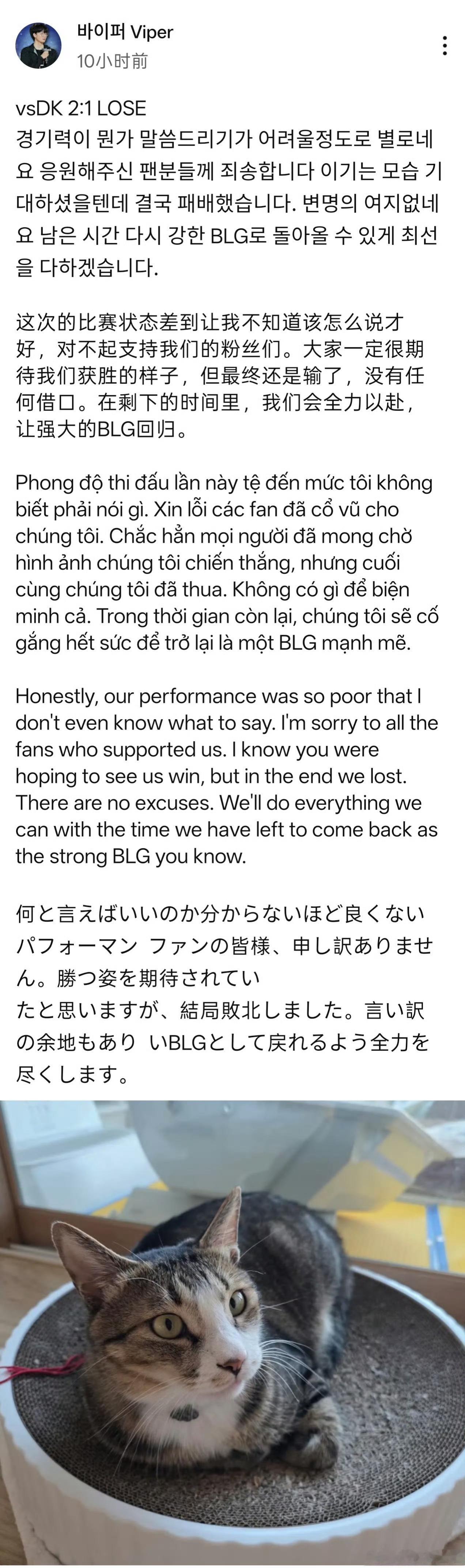 Viper赛后发文致歉，韩国选手的职业态度这一块。 BLG最该道歉的还在刚有感觉