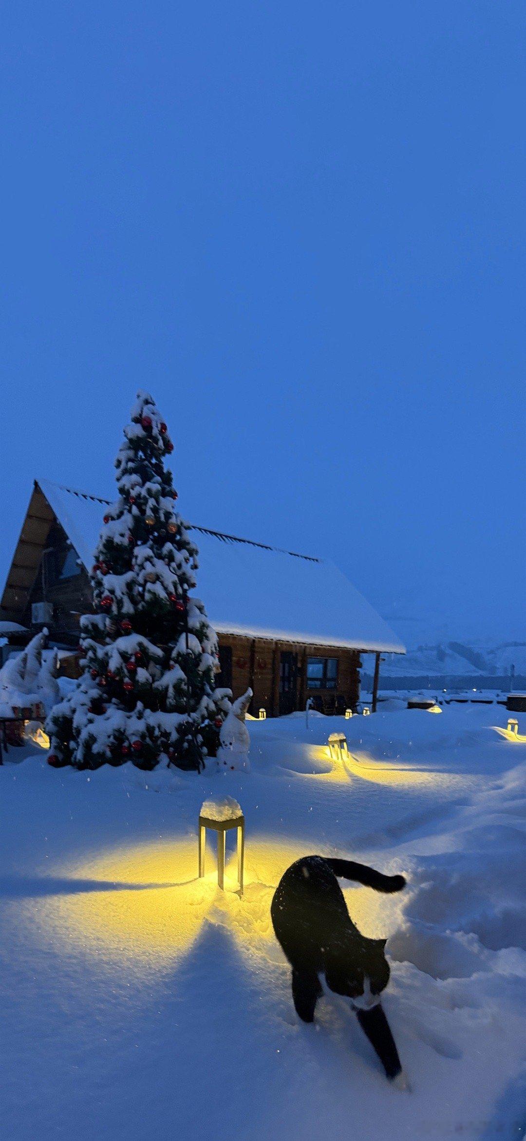 故宫今年第一场雪2026好运常伴！一路长虹！ 