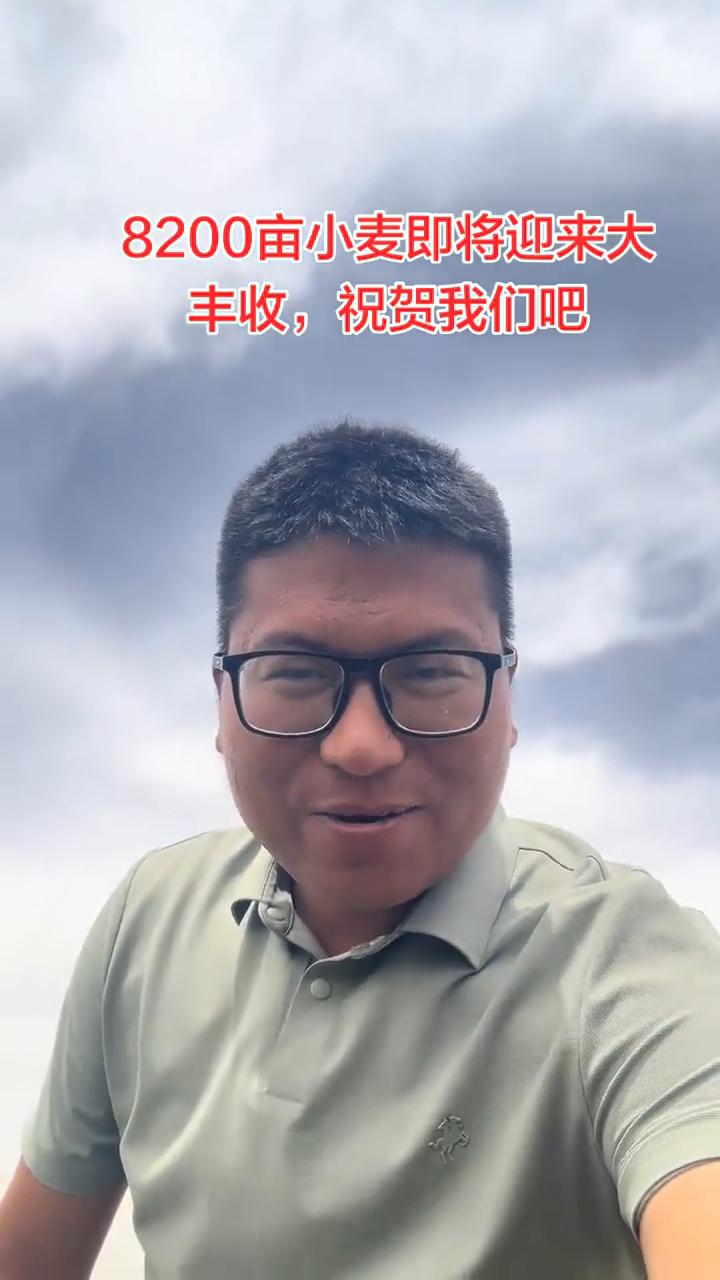 8200亩小麦即将迎来大丰收，祝贺我们吧。