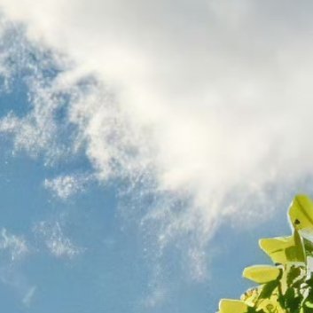 每日一善‎每日一善 ‎阳光‎信用 迎着太阳，奔向远方，心若向阳，四处是光芒。我喜