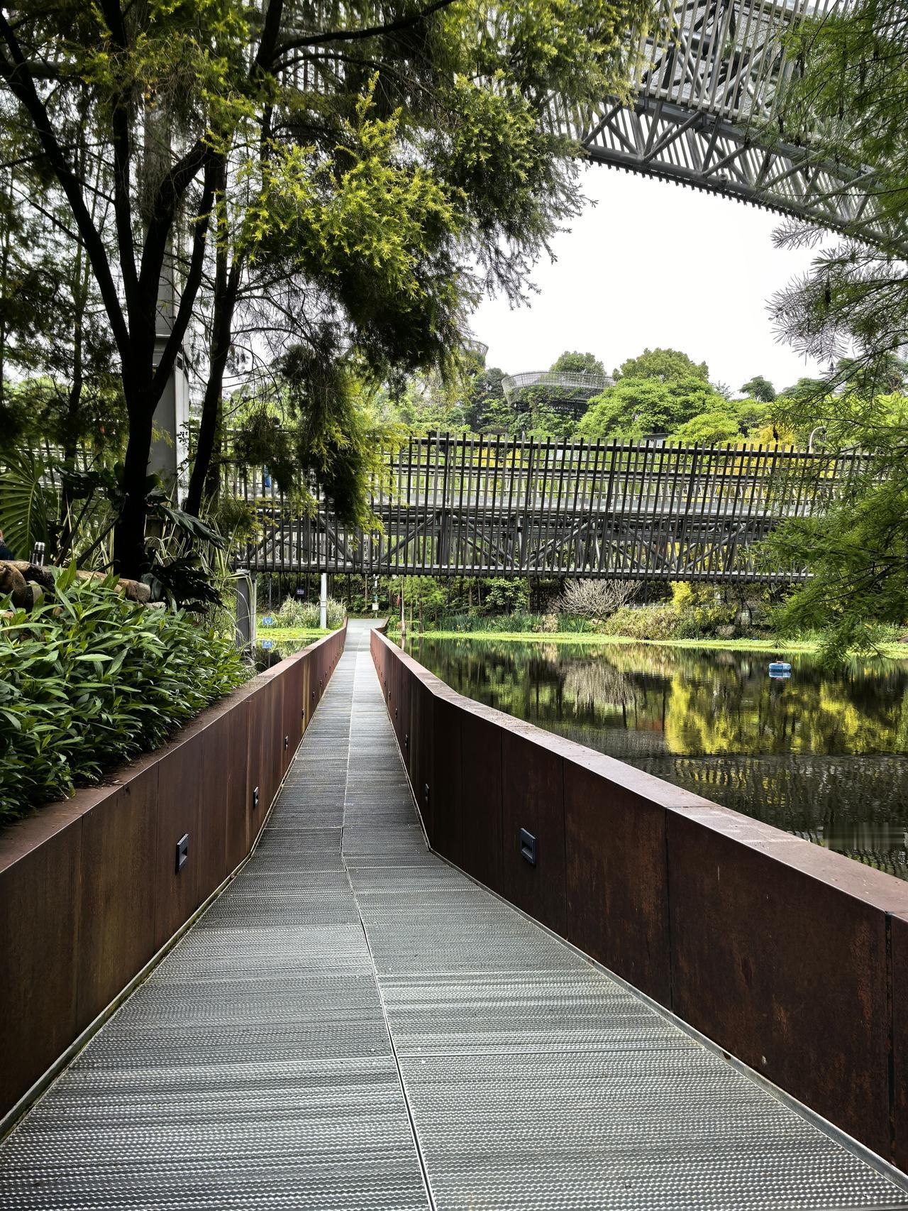 兴致勃勃的打车来到著名的福道3号入口，打卡了沉桥，沿着福道弯弯拐的往上走，大概走