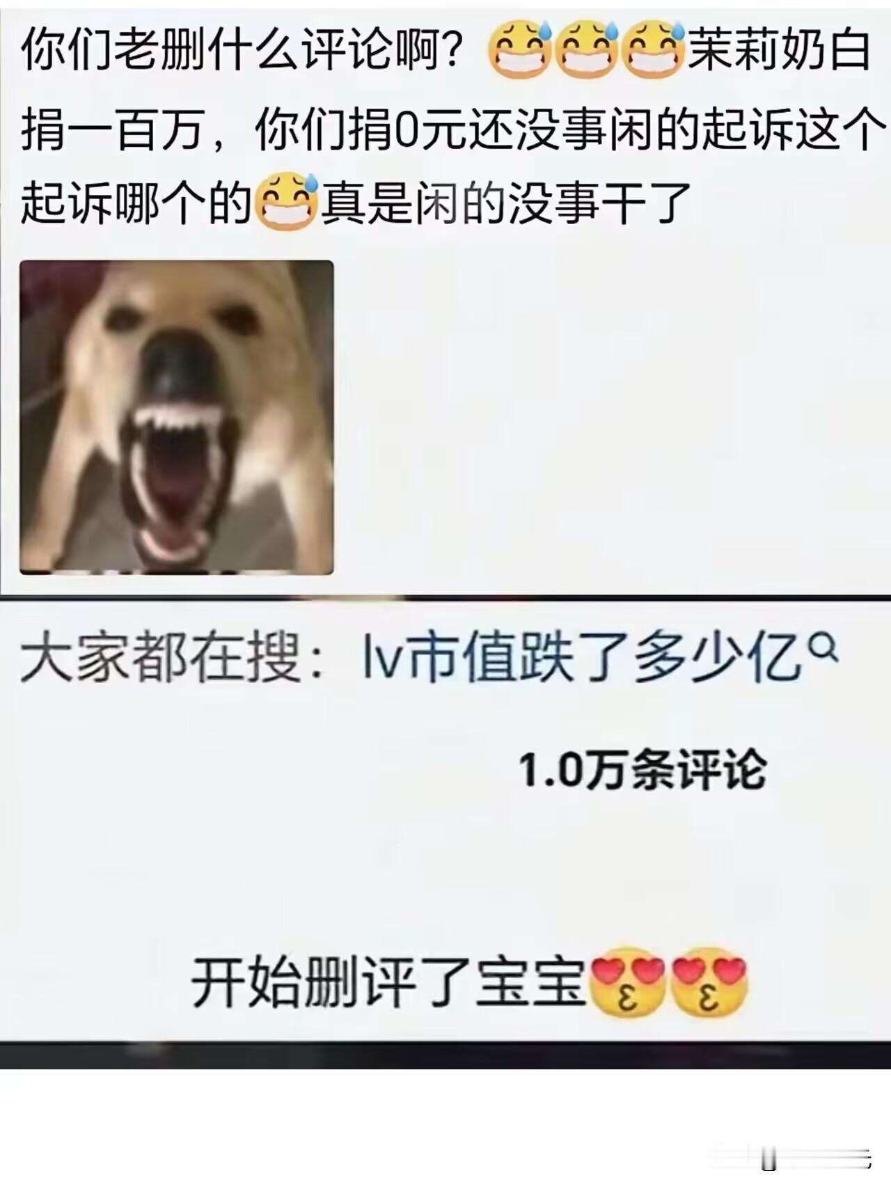 LV急了，开始“删评”了？，万万没想到啊，LV没有针对网友关于赈灾捐款的质问作出