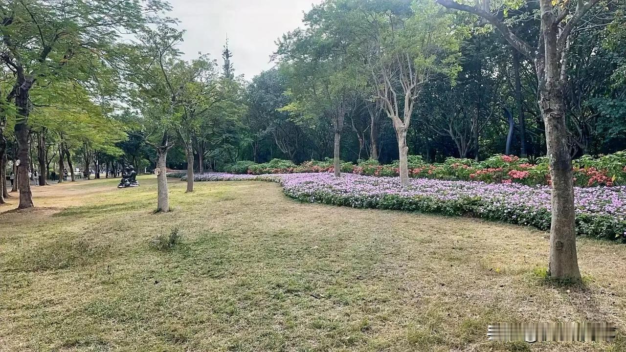 你有没有发现，身边做全职妈妈的朋友，越来越容易焦虑了？

其实，这份焦虑背后有太