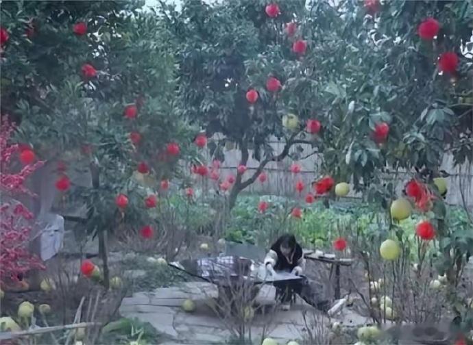 本来以为李子柒的视频是摆拍的，但大家在四川街头看到后才知道这是真的 