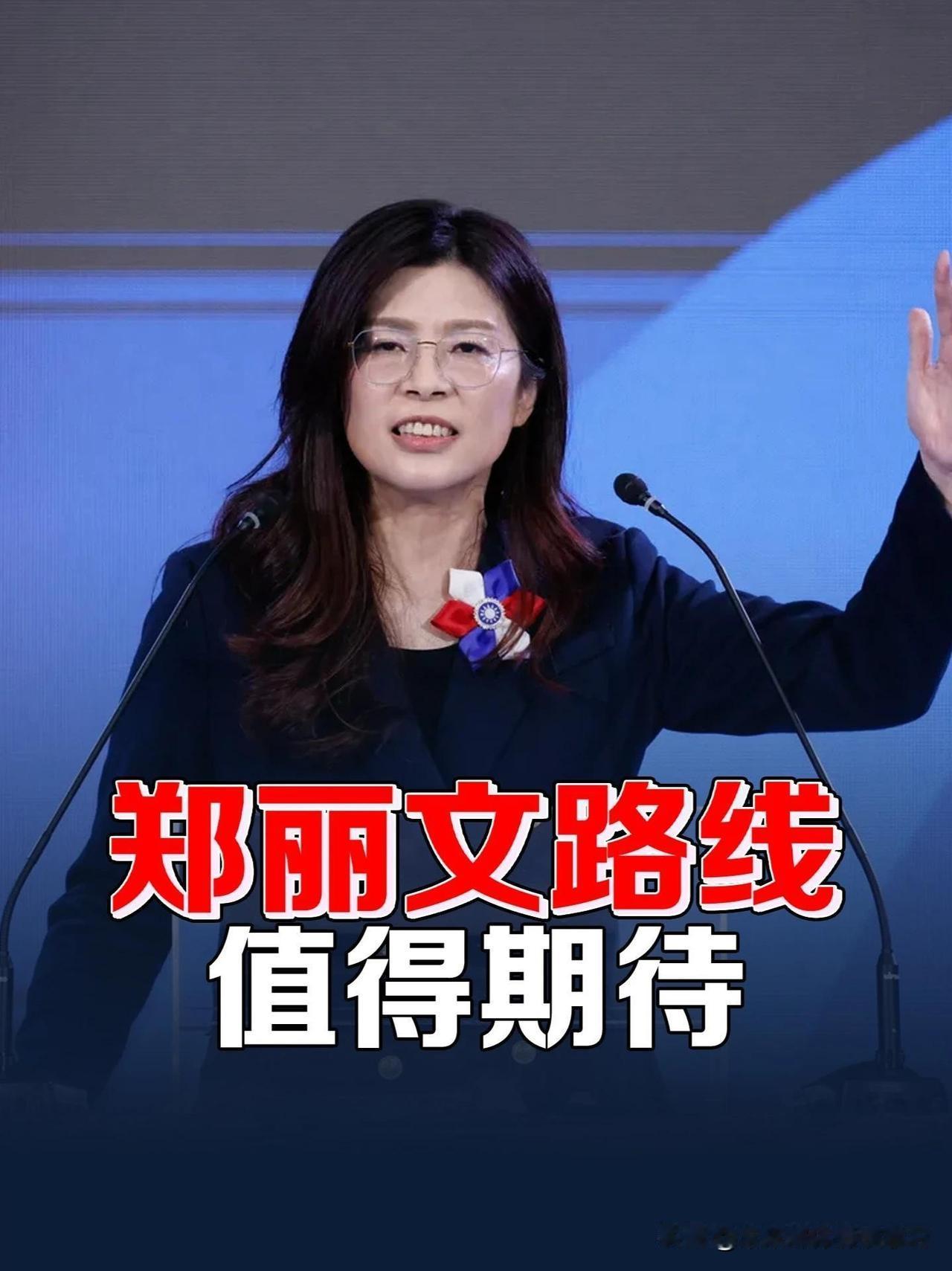 郑丽文这趟美国行，人还没动身，局面就透着一股微妙的凉意。

消息传得很直接：接待