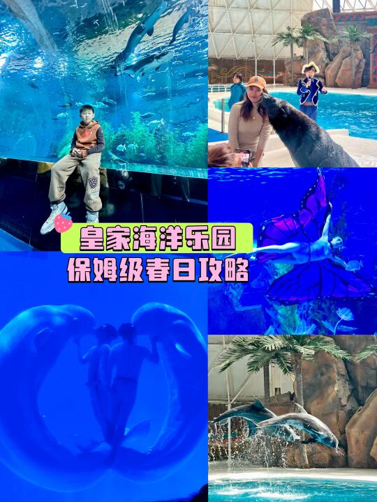 沈阳遛娃 | 皇家海洋乐园保姆级春日攻略🌿
