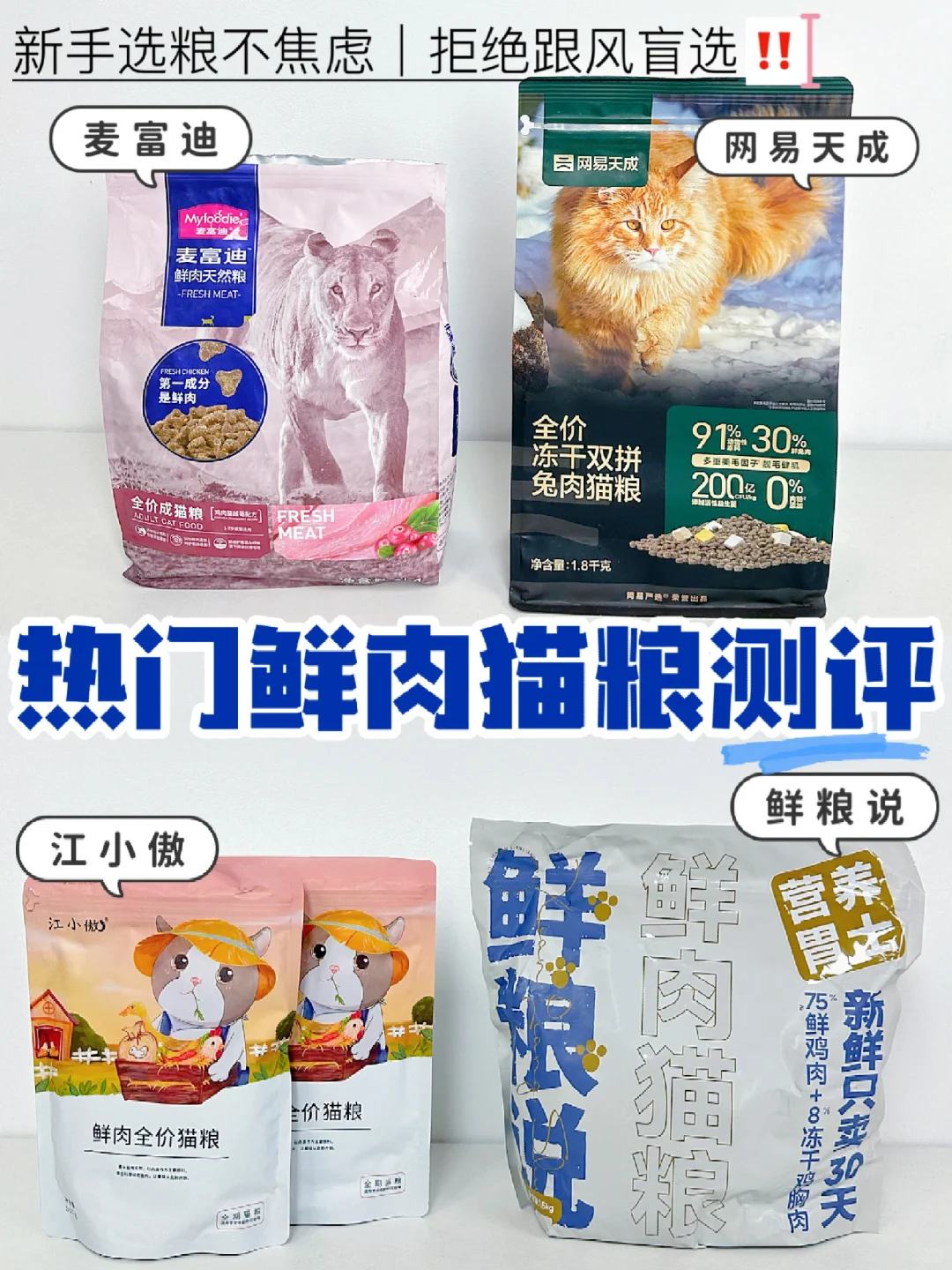 喵界美食地图|四款热门鲜肉猫粮测评！！！