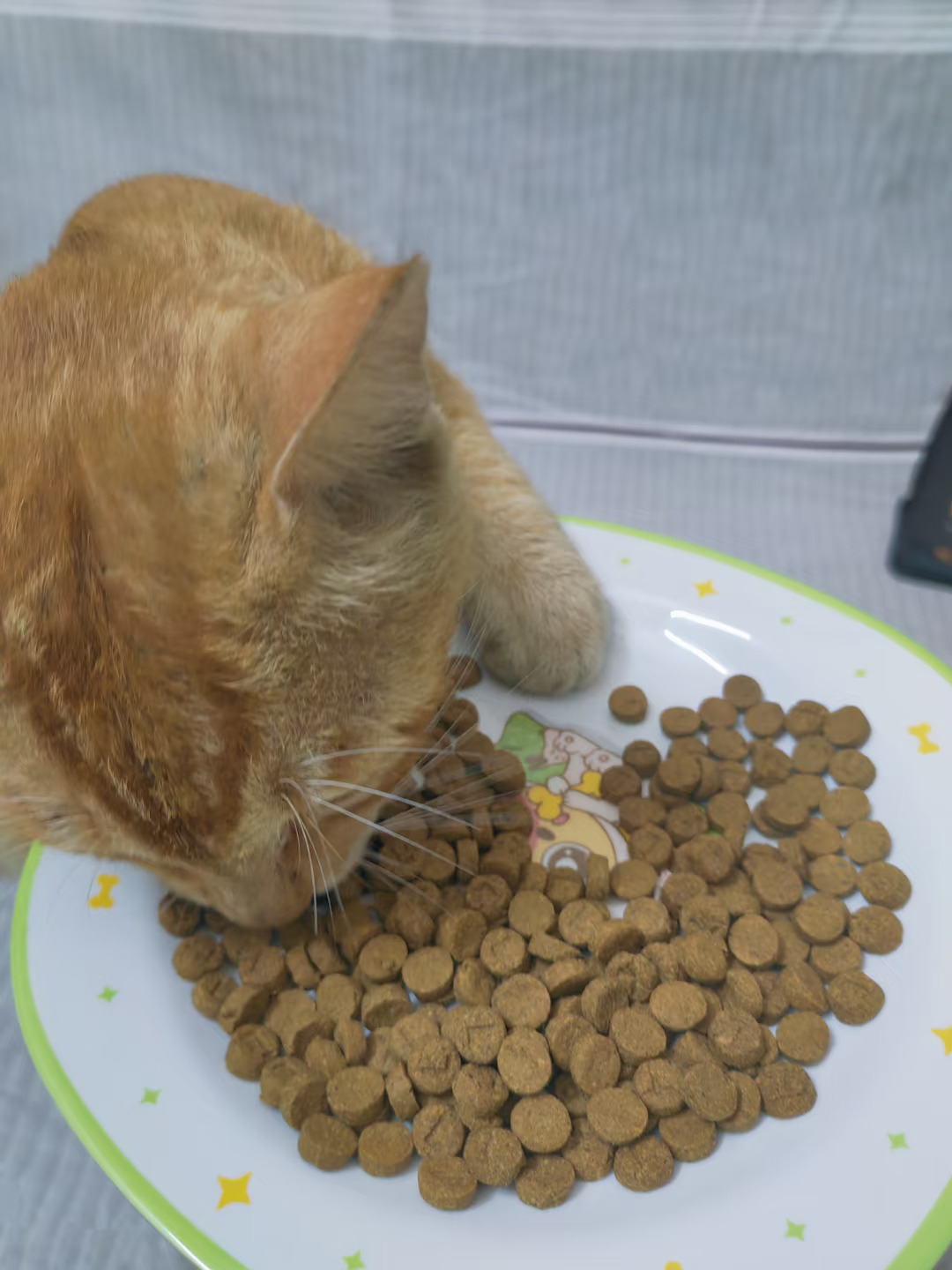 🐱：这美味 本喵要囤到下辈子！