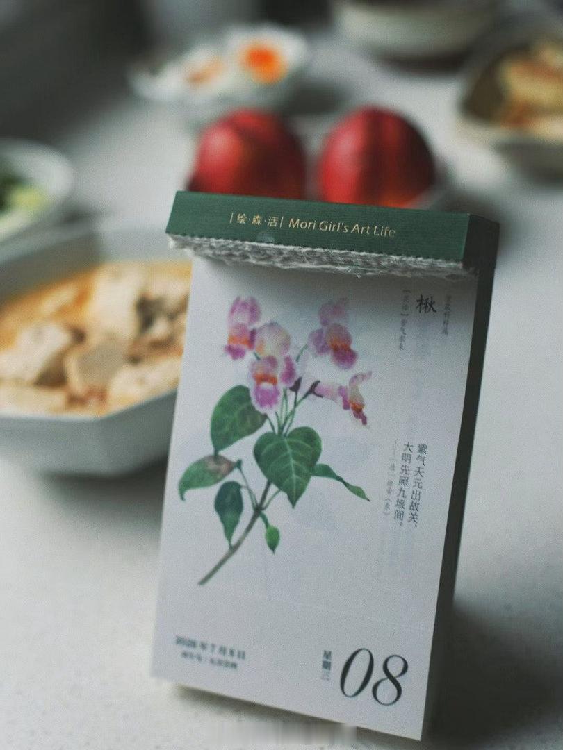 生活原本沉闷，但跑起来就有风！生活手记一个人的生活语录