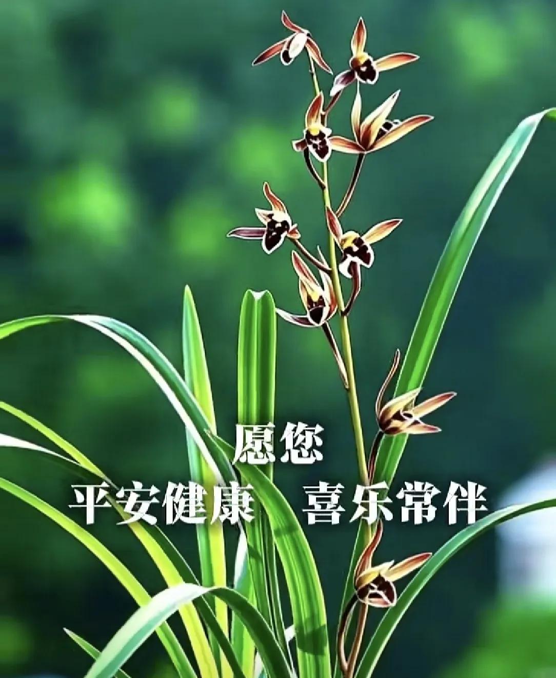健康小常识：手汗症在中医属“汗证”范畴。

汗证核心病机在于阴阳失调、营卫不和、