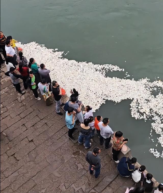 触目惊心！四川宜宾，国庆假期合江门又火了一把！有人提了25个馒头，到长江零公里地