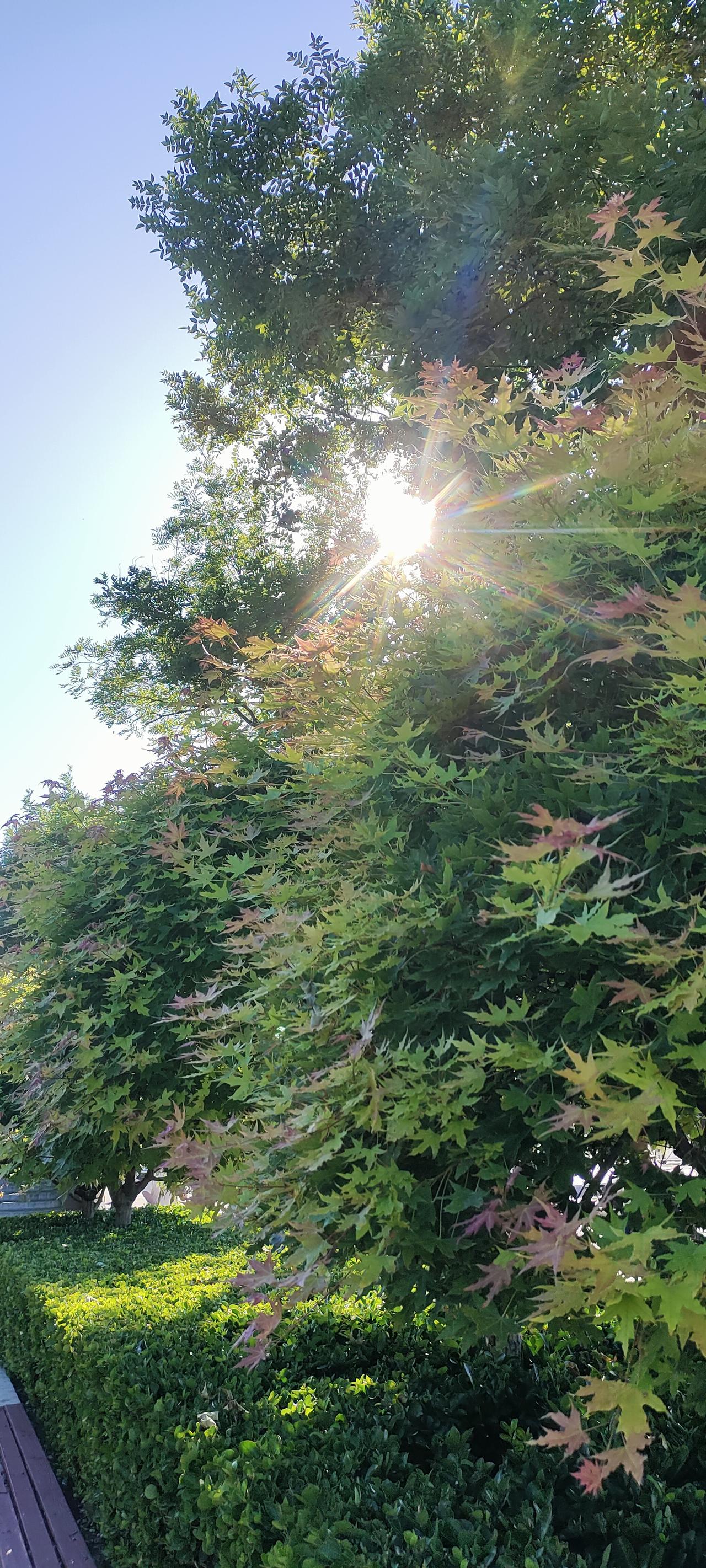 老司机开车和新手司机开车遭遇暴雨今夕对比

昨天晚上预报今天有大暴雨，清早怀着忐