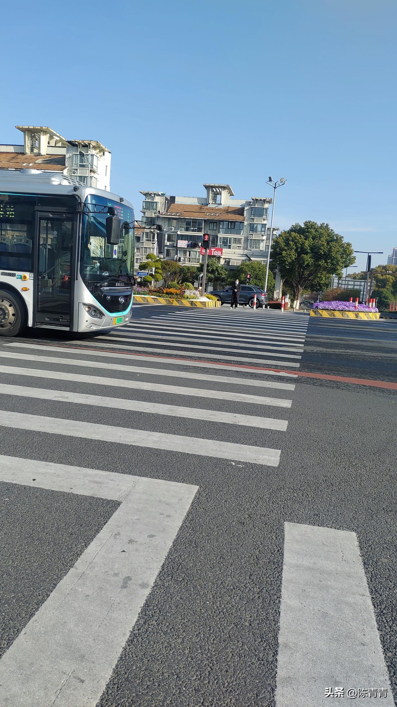 经常走在苏州街道上知道，苏州的公交车司机素质最高，只要你站在有斑马线的路旁等，公