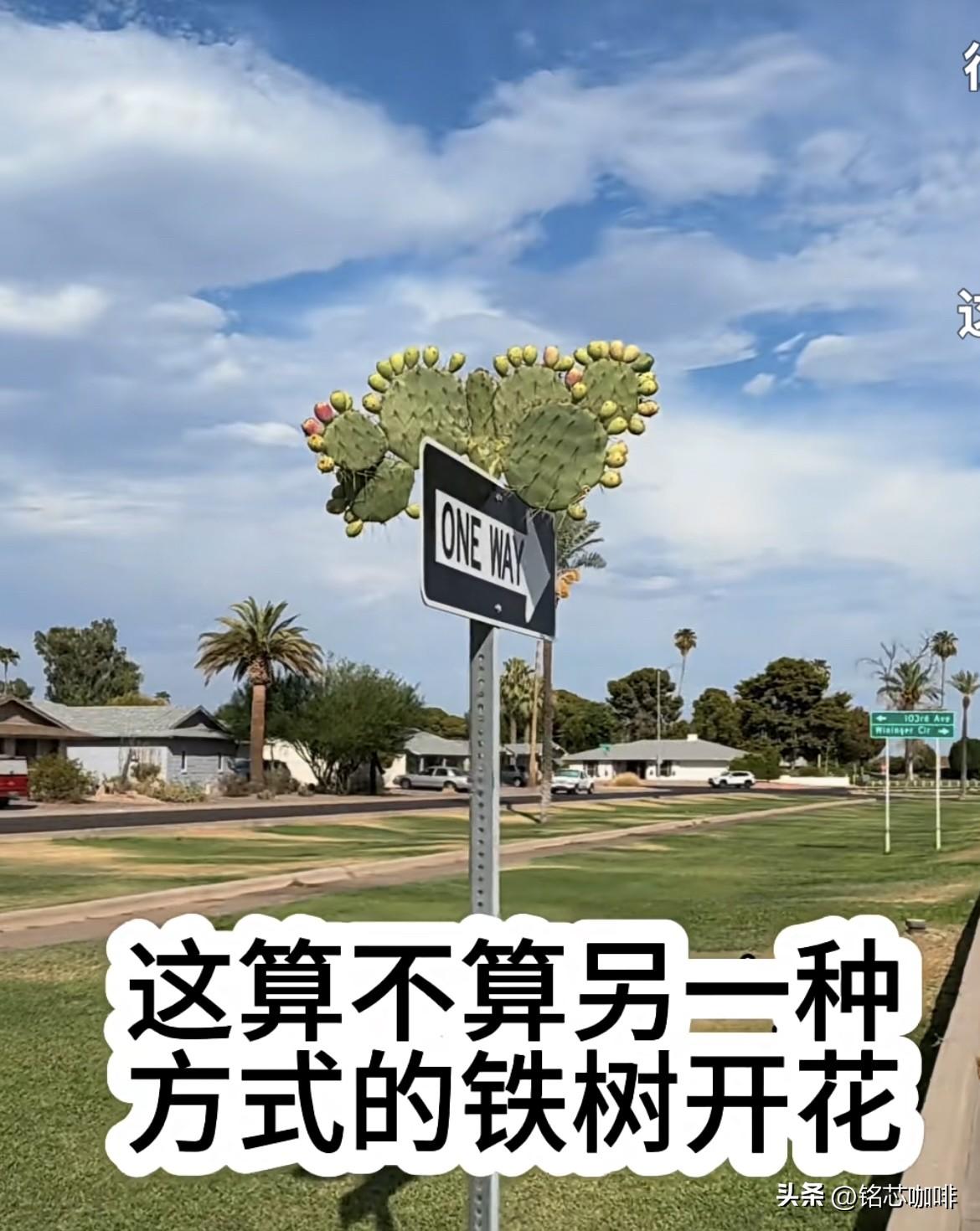 上联：浅浅深深河中水
下联：高高低低岭上云