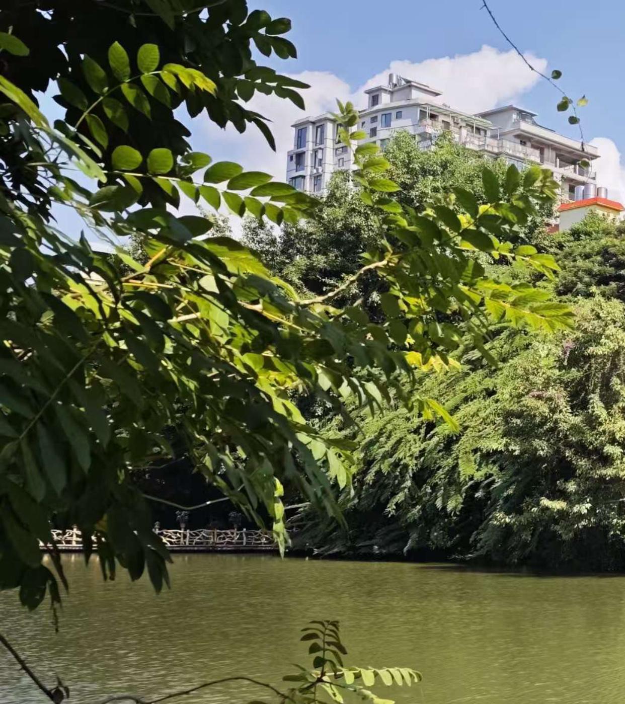 相思河畔风撩柳，求下联？