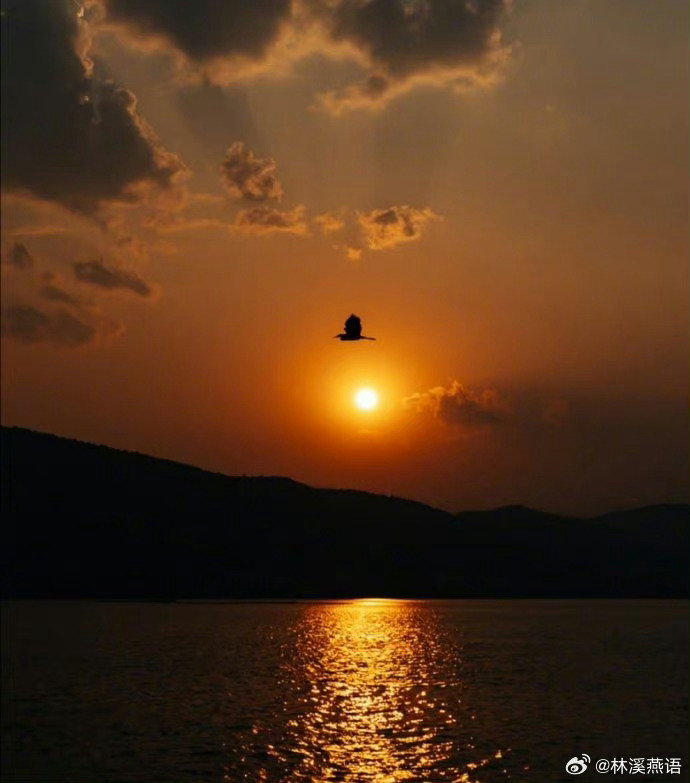 落霞与孤鹜齐飞，秋水共长天一色。 ​这样的美景，睡不想见？ ​​​