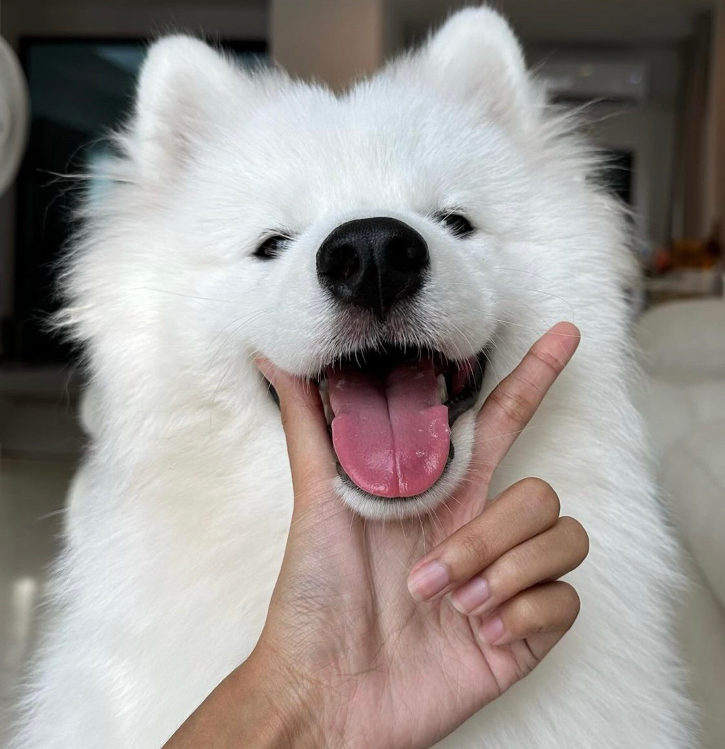 给生活比个耶 ​​​