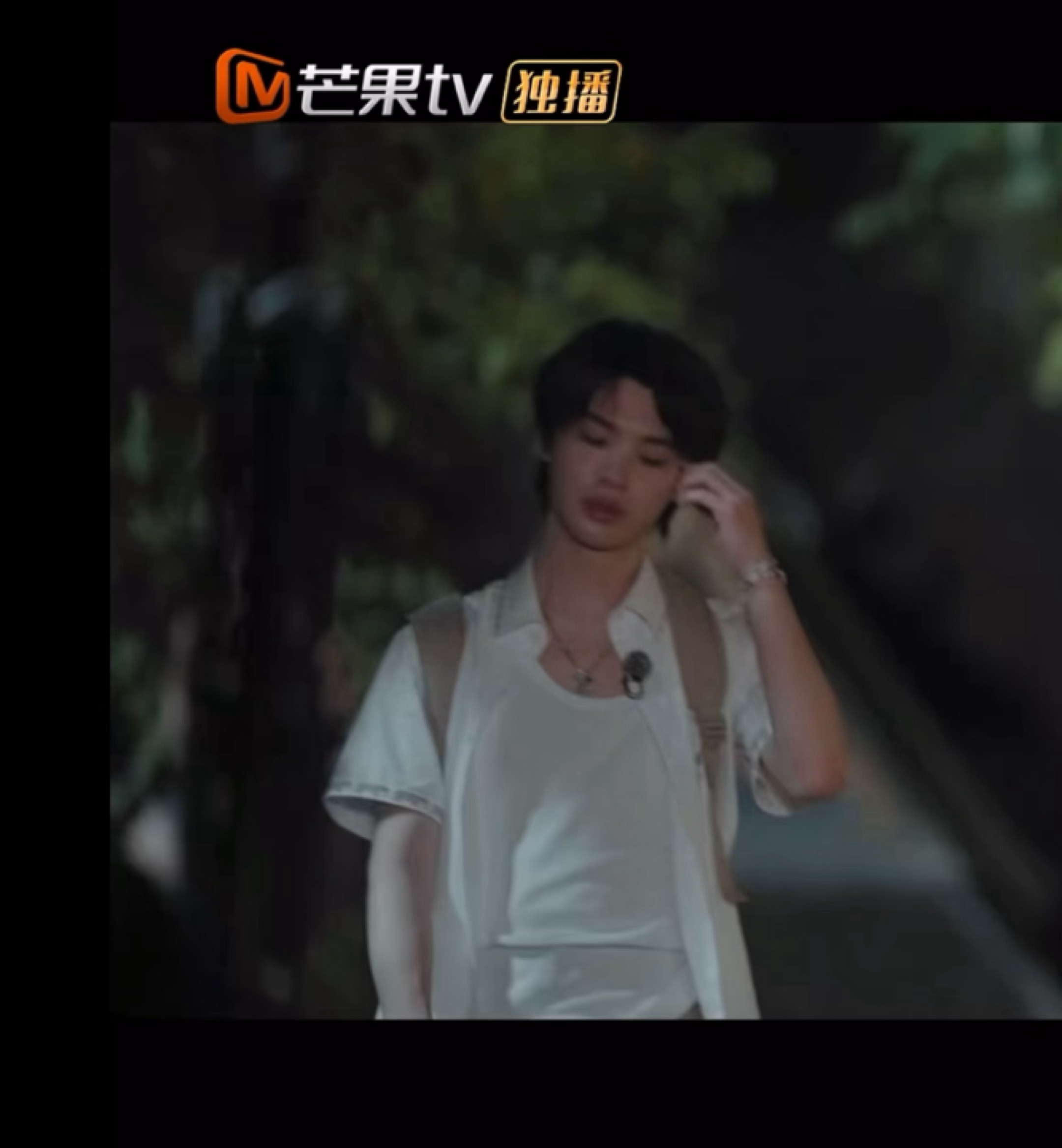 角落美人忙忙碌碌寻宝藏2定档