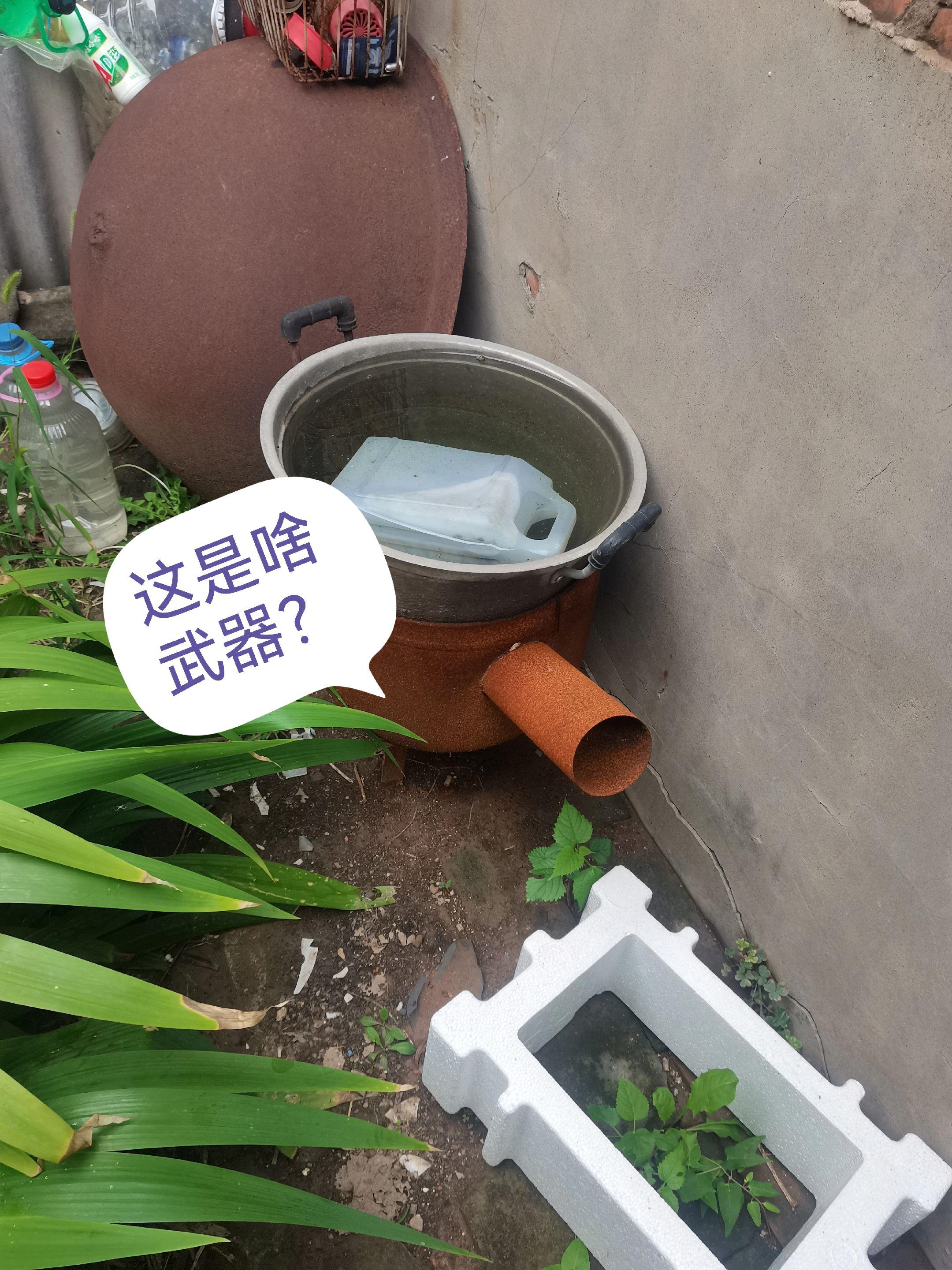 农村小院
