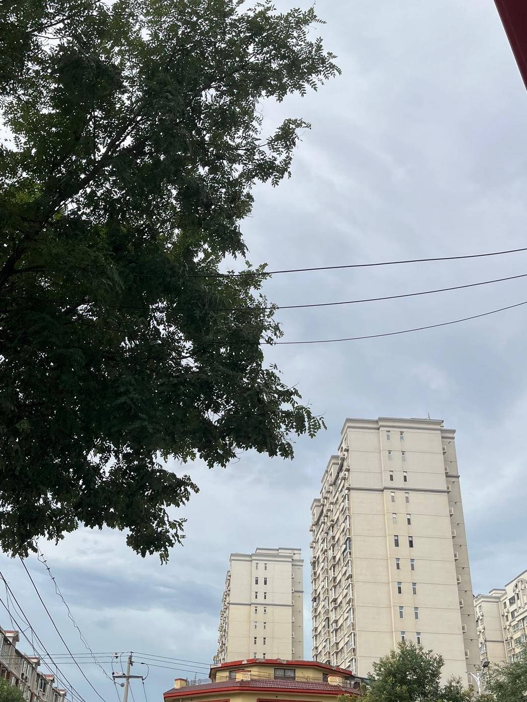 快下雨的节奏，风呼呼响起来，你看天空的云，是不是要下雨，我拍下2张照片，有会有云