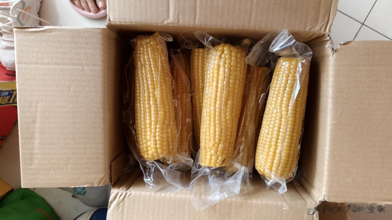 青岛退休大姐网购的东北玉米收到了，虽然退休了，但是新鲜事物网购倒是学会了。

每